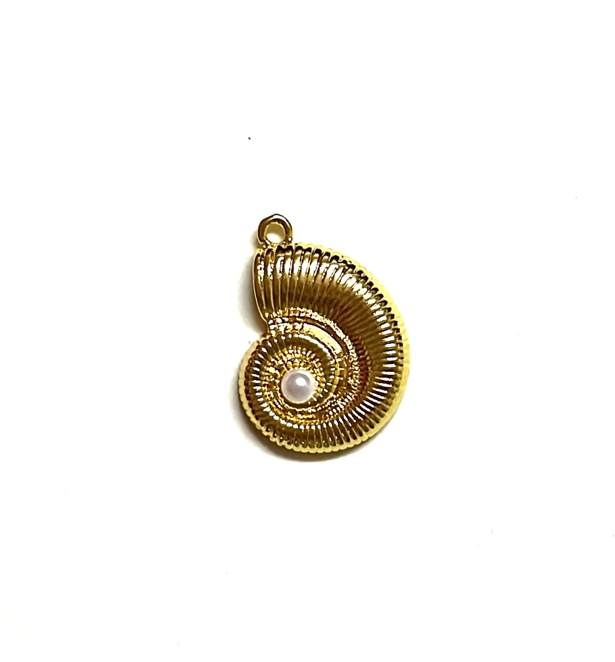 Pearly Spiral conch