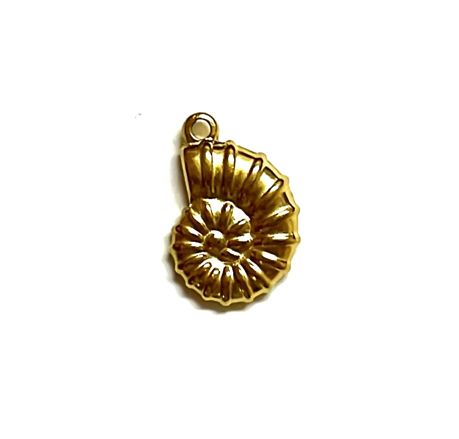 Spiral conch