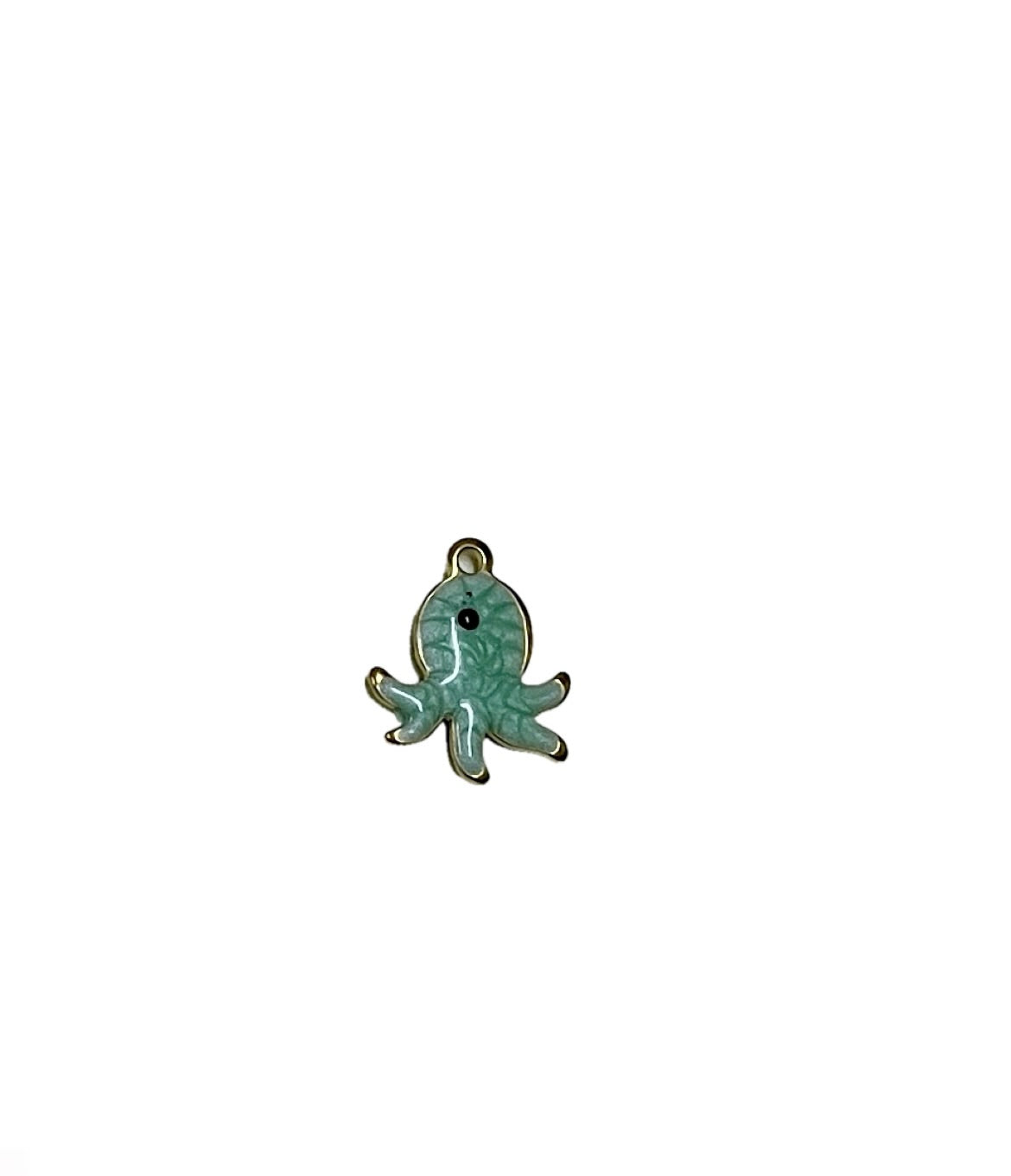 Aqua octopus