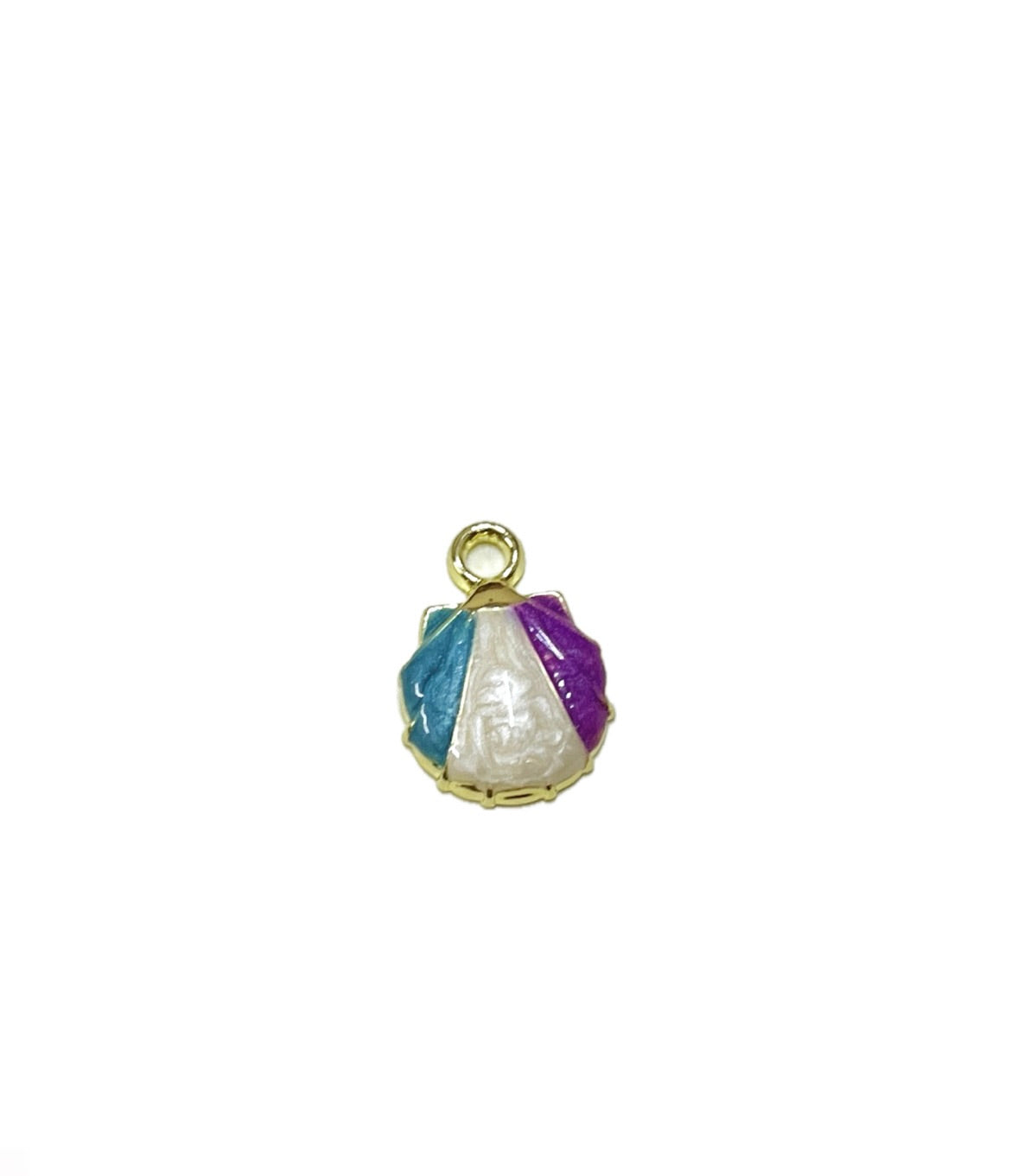 Colorful shell