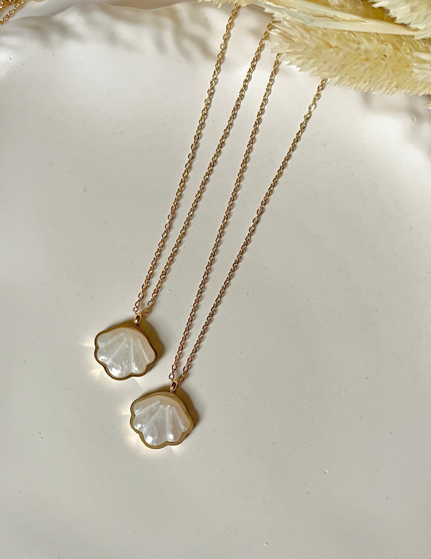 Shell Necklace
