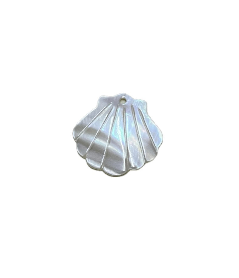 Shell - medium-